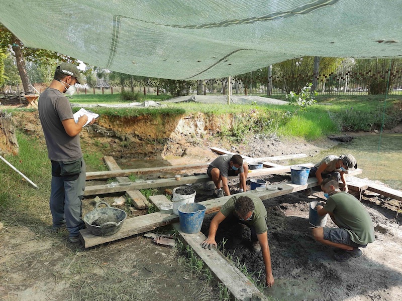 Imagen de la excavación en la Draga en la campaña de 2020