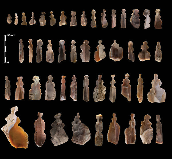 El conjunt de figuretes de sílex descobert a l'excavació de Kharaysin, a Jordània