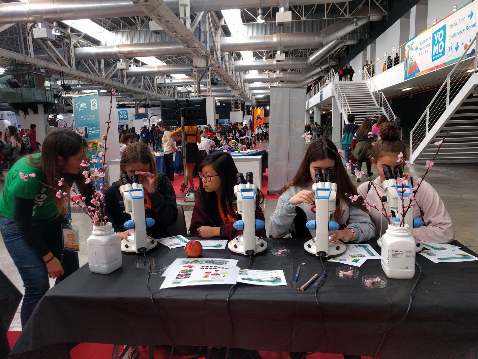 Estudiants participen a l'estand interactiu del CRAG en el YoMo 2018