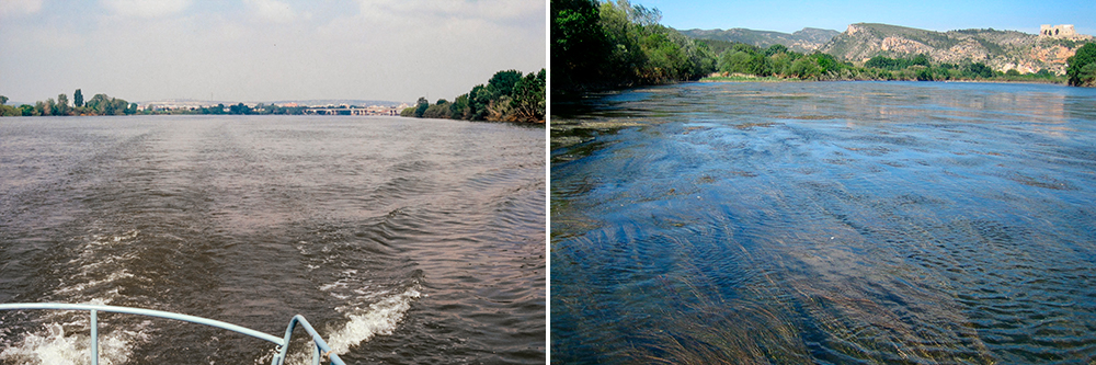 El riu Ebre en una imatge presa el 1992, esq., I una altra de 2009, dta. / Carles Ibáñez / IRTA