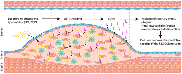 Graphical abstract.
