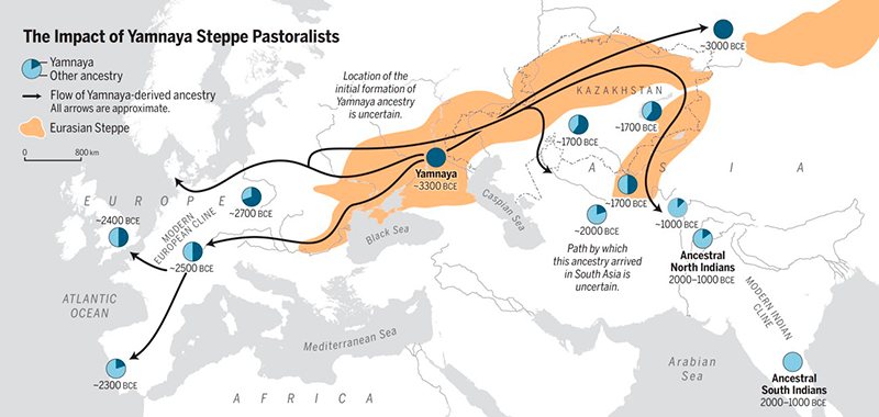 Impacto de las migraciones de los pueblos Yamnaya. / Oliver Uberti y Science