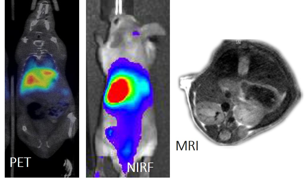 Les nanocàpsules han estat provades en tres tècniques:  ressonància magnètica (RM), la fluorescència (blava i infraroig proper) i la tomografia per emissió de positrons (PET)