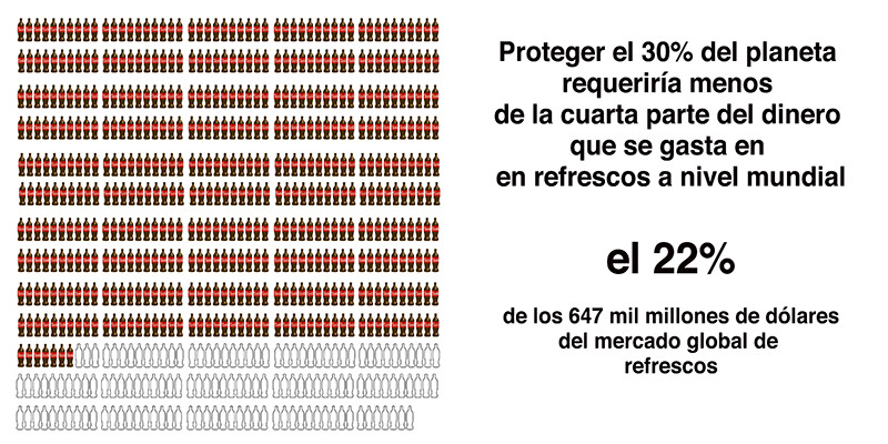Protegir el 30% del planeta costaria menys d'una quarta part del que gastem cada any en refrescos / Wyss Campaign for Nature