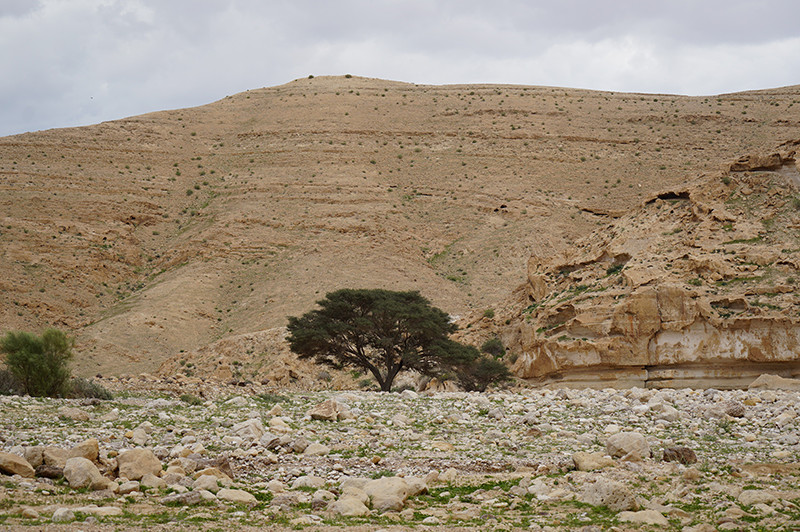 Cova de Nahal Hemar. Imatge: Ferran Borrell.
