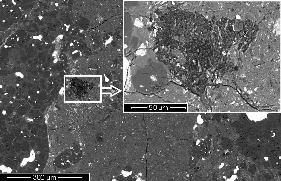 Secció de la condrita carbonàcia La Paz 02342 i ampliació del clast cometari. / CSIC-Carnegie Institution