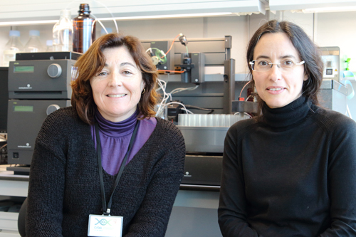 Les investigadores del CSIC al CRAG, Maria Coca (esquerra) i Maria Lois (dreta)