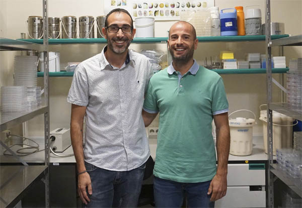 Òscar Quijada, investigador de l’IBB-UAB (esquerra) i David Aparicio, de l’IBMB-CSIC.