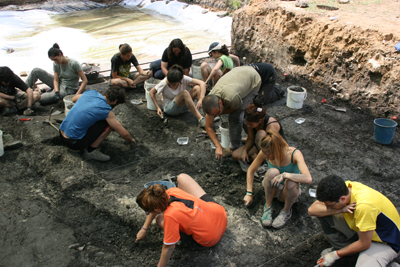 Excavació de La Draga. 