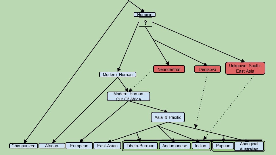 Arbre evolutiu de l'article. Autor: Mayukh Mondal.