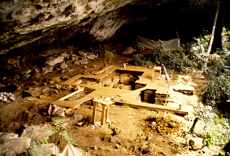 Vista general de l'excavació de Shum Laka a Camerun. Aquest jaciment albergava una població humana que va viure a la regió durant almenys cinc mil·lennis i que tenia poca relació genètica amb les persones que viuen a la regió avui dia. L'anàlisi de les dades d'ADN antic del genoma complet de quatre persones que vivien en aquest lloc va proporcionar informació sobre les relacions entre diversos llinatges humans africans de ramificació primerenca (foto de Pierre de Maret, gener de 1994).
