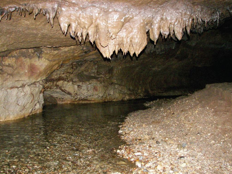 La cova Soprador do Carvalho (Portugal) és la localitat tipus de la nova espècie descrita Iberoporus Pluto. Autor: Ignacio Ribera.