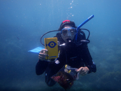 Una submarinista d'Observadors del Mar. Imatge: ICM-CSIC.
