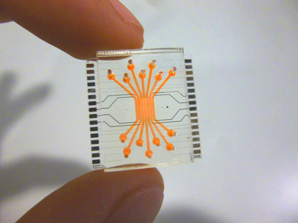 Primer pla del dispositiu microfluidic. Imatge: José Yeste 