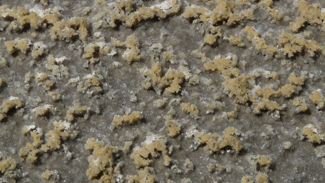 Sedimentos de origen bacteriano, procedentes de los Monegros.