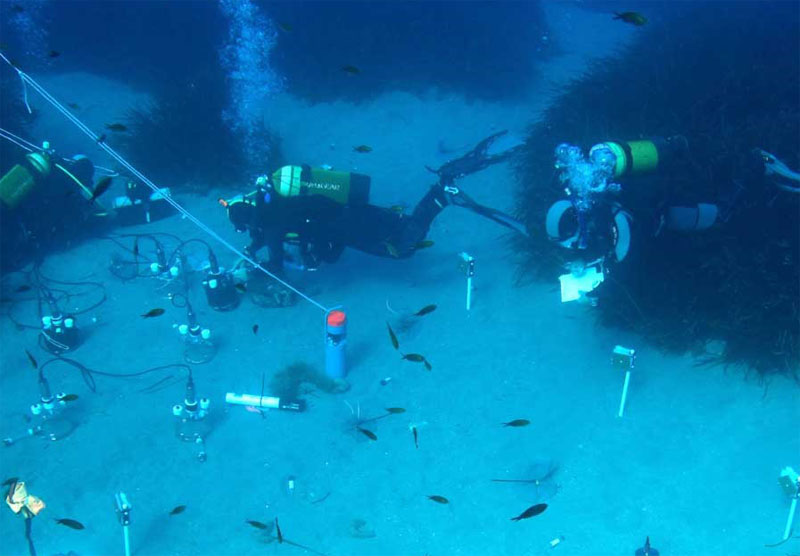 El fons marí com a laboratori natural: bussejadors treballant. (© HYDRA/C. Lott) 