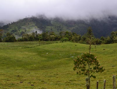 Bosque nublado del Valle de Quijos, en Ecuador. Foto: Nicholas Loughlin