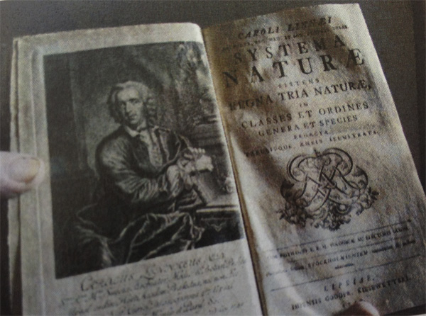 Una edició del 1748 de l'obra Systema Naturae de Linné, Imatge: Ajuntament Barcelona
