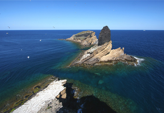 Illes Columbretes. Foto: Ajuntament de Castelló de la Plana.