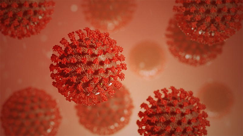 Los resultados ayudan a explicar por qué algunos individuos desarrollan una infección por SARS-CoV-2, el virus causante de la Covid-19, mucho más grave que otros de la misma edad