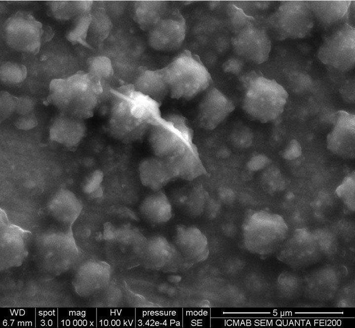 Imatge per microscopia electrònica d'electrodes de calci (ICMAB/CSIC)