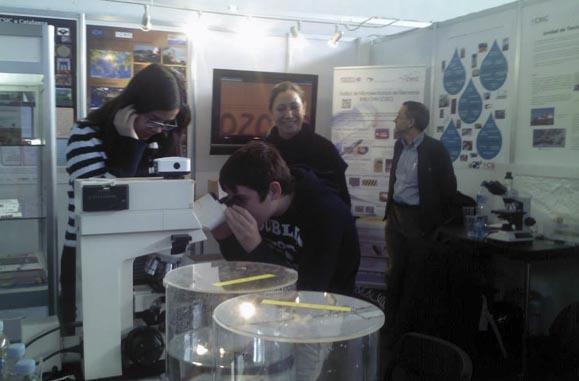 Imatge del estand en l'anterior edició del Saló. 