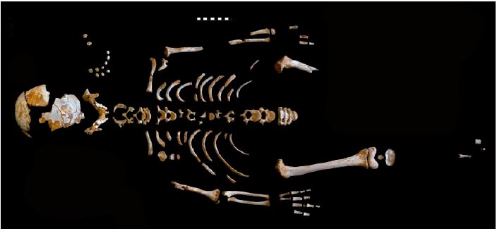 Esqueleto del niño neandertal recuperado en la Cueva de El Sidrón/Grupo de Paleoantropología MNCN-CSIC