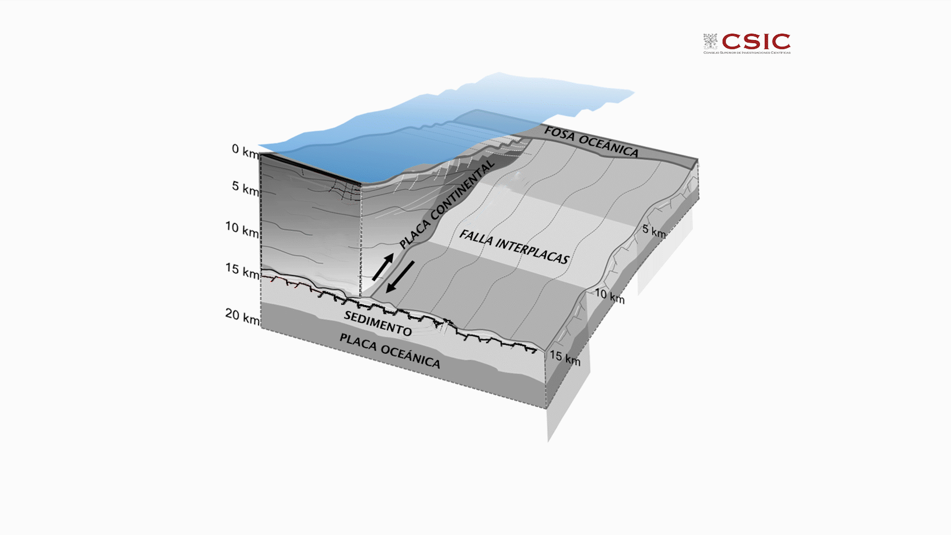 El model permet explicar per què alguns moviments sísmics moderats han generat tsunamis extraordinàriament grans.