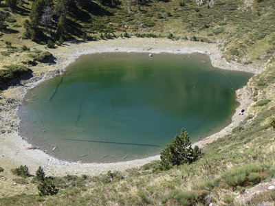 2015. Fruit de les actuacions d’eliminació del barb roig dutes a terme pel projecte LIFE LimnoPirineus, l’estany Closell ha recuperat la seva transparència natural. Foto: A. Miró