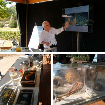 Imagenes de actividades del ICM-CSIC en ediciones previas del Festival de la Ciencia (ICM-CSIC).