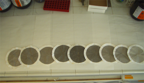Filtres en els quals s'han recollit i filtrat les partícules atmosfèriques, sobre una taula de treball del laboratori de l'IDAEA-CSIC. El color dels filtres abans de ser usats és blanc. Imatge: IDAEA/CSIC.