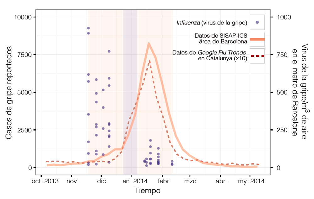 Al gràfic s’aprecia la major concentració de virus de la grip (Influenza) poc abans del pic de casos de grip reportats pel Sistema d'Informació dels Serveis d'Atenció Primària de l’Institut Català de la Salut (SISAP-ICS) i de les cerques a Google de qüestions relacionades amb la grip. Les franges clares corresponen als períodes de mostreig i la franja de color gris al de vacances de Nadal (durant el qual no es va mostrejar).