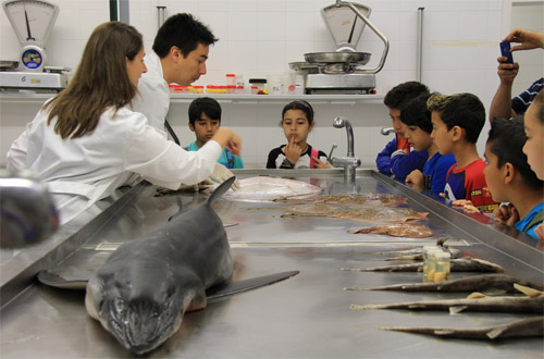 Científics i escolars en els laboratoris del ICM-CSIC, en l'anterior edició de Magnet.