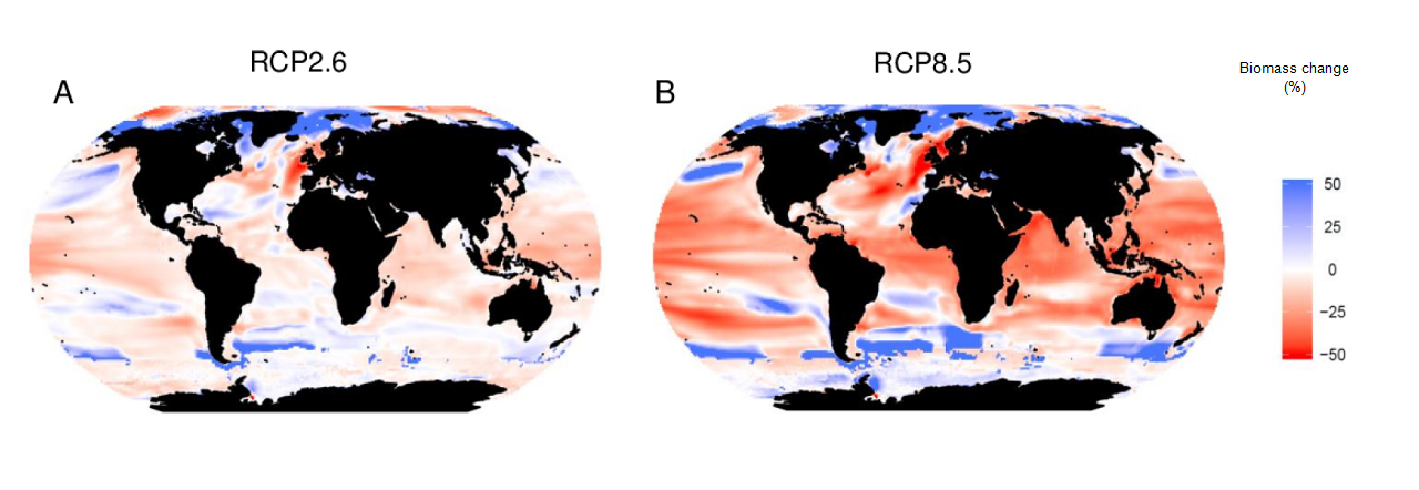  Canvis projectats en la biomassa d’animals marins per a finals del segle XXI (% d’increment o  % de disminució, en comparació amb finals del segle XX) sota dos possibles escenaris d’emissions, segons l’IPCC: RCP2.6 assumeix una forta reducció de les emissions; RCP8.6 assumeix que continuen les emissions com fins ara. 