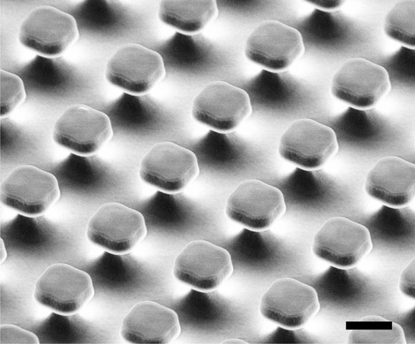 Una zona de una de las obleas procesadas con las micropartículas fabricadas, justo antes que éstas sean multifuncionalizadas y liberadas. Obtenida con microscopio electrónico de barrido (SEM). La barra de escala representa 3 micrometros.