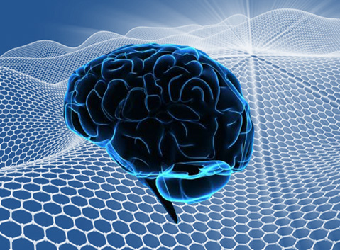 El proyecto desarrollará microagujas de grafeno para medir la actividad cerebral. 