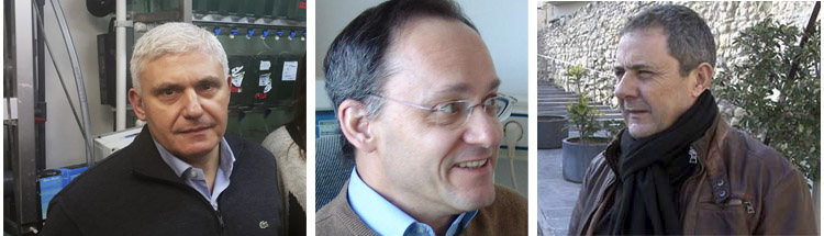 De esquerra a dreta, Francesc Piferrer, Enric Canadell i Xavier Querol. 