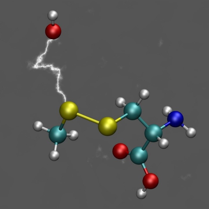 Estructura del moment en el que el radical OH ataca un enllaç disulfur. Ramon Crehuet.