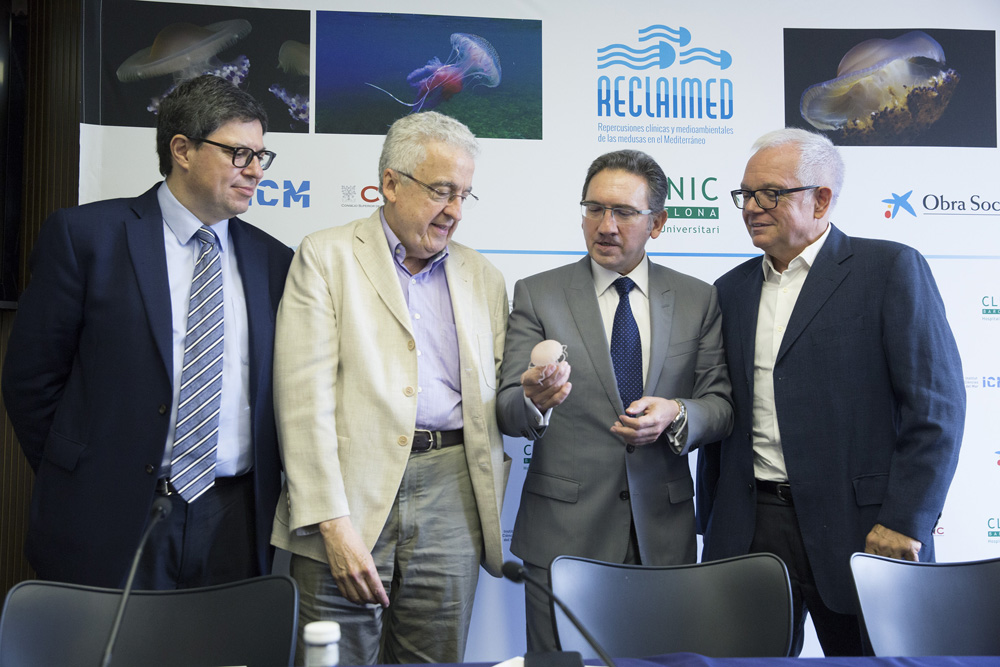 Jaume Giró, director general de la Fundació Bancària la Caixa; Josep Maria Gili, investigador de l'Institut de Ciències del Mar del CSIC; i el doctors Santiago Nogué, de la Unitat de Toxicologia Clínica, i Jose-Manuel Mascaró, del Servei de Dermatologia, ambdos de l'Hospital Clínic, han presentat avui al Palau Macaya de l'Obra Social la Caixa un estudi pioner a l'Estat espanyol sobre la prevenció i minimització dels efectes de l'augment de les meduses al Mediterrani.