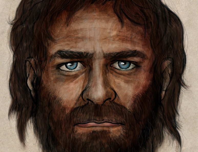 La Braña 1, nombre con el que se ha bautizado a un individuo del Mesolítico de 7.000 años de antigüedad, tenía los ojos azules y la piel oscura.