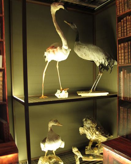 Imagen de objetos de la exposición. 