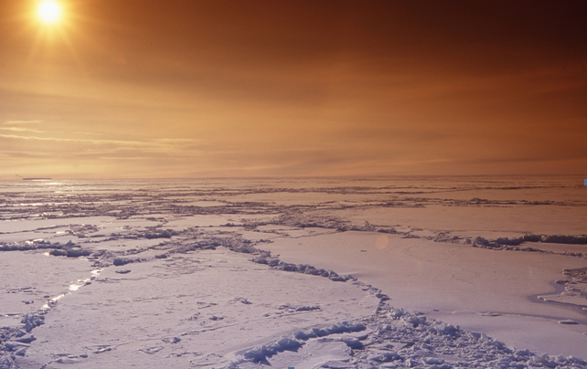 Imatge de l'Àrtc presa pels investigadors en le campanya de l'Any Polar Internacional.