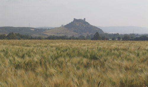 Campos de Tritordium. 