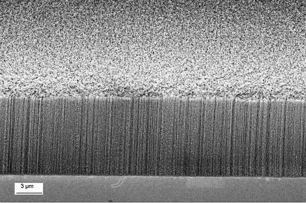 Creixement vertical de nanotubs. Imatge: CSIC.