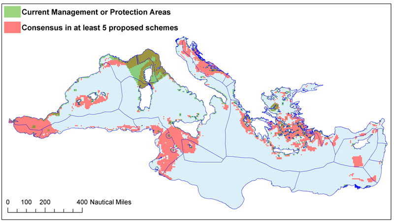  Mapa amb la xarxa de zones a prioritzar. En verd, les que ja tenen algun tipus de protecció. En rosa, les que estan consensuades com a zones a protegir.
