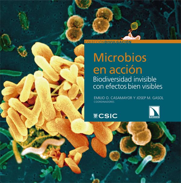 http://publiblogdelcsic.blogspot.com.es/2012/06/microbios-en-accion-biodiversidad.html
