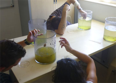 Sessió pràctica dedicada al plàncton. Foto: Planeta Blau / Ismael Mayo.