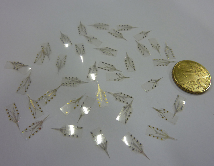 Varies unitats de la nova sonda. Imatge: CSIC