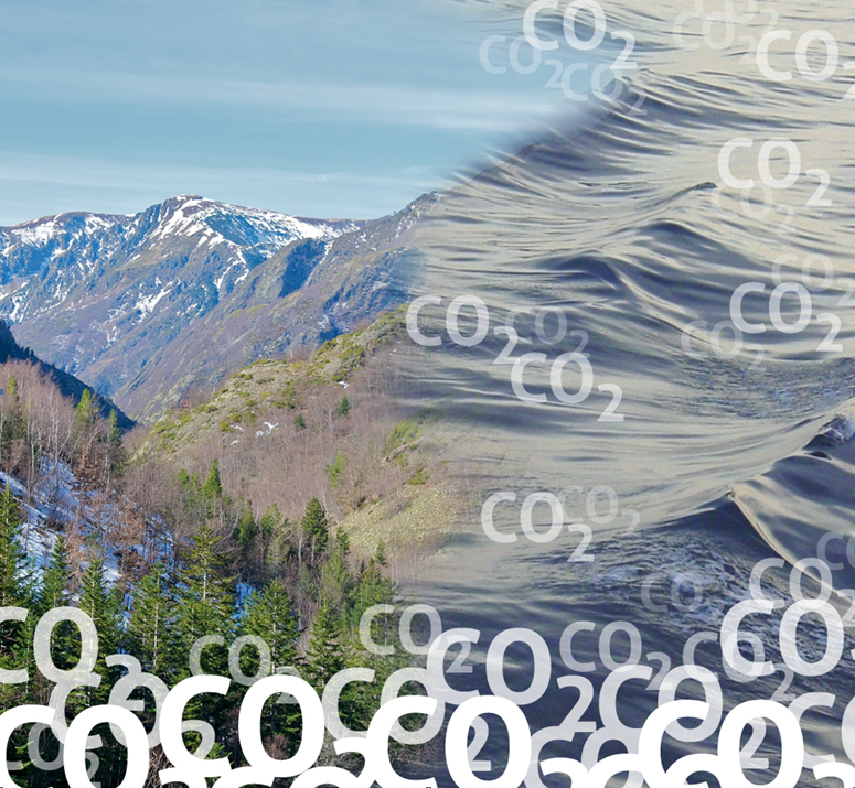 Imagen del trabajo para la revista Nature.