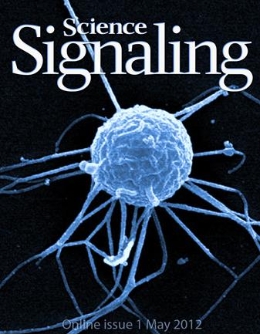 El treball ha estat portada de Science Signaling.